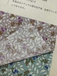 83038 SEVENBERRY® 懷舊系列 天然堅果和漿果[布料] VANCET 更多照片