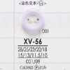 XV56 聚酯樹脂製 正面雙孔鈕扣