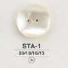 STA1 貝殼類製正面雙孔鈕釦