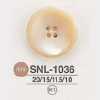 SNL1036 高瀨貝殼製 表面四孔鈕扣