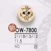 OW7800 木製 表孔雙孔鈕扣