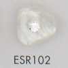 ESR102 聚酯樹脂製鈕扣