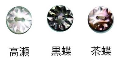 156 兩孔 鈕扣 高瀨貝