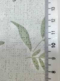 W8081 SEVENBERRY®牛津寬幅豎琴[布料] VANCET 更多照片