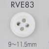 RVE83 四眼 有邊 貝殼鈕扣