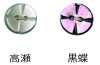 250 兩孔 無邊貝殼鈕扣