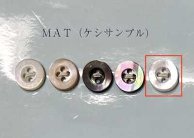 EX701MAT 四孔 有邊 白蝶貝鈕扣 霧面