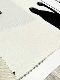 AP52101 黑貓牛津（圓卷）[布料] Cosmo Textile 更多照片