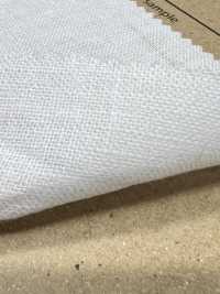 AD5182 亞麻帆布[布料] Cosmo Textile 更多照片