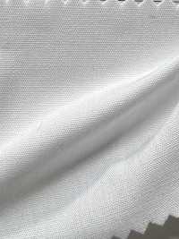 AD40000 T/C 208平紋布[布料] Cosmo Textile 更多照片