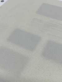 1200 Wofil® 更多[布料] 佐佐木希爾睦（佐睦） 更多照片
