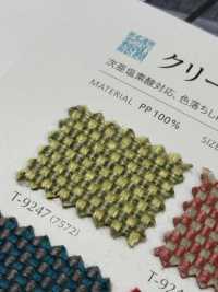 CLEANAS 清潔工[布料] SHINKO 更多照片
