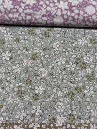 KTS6623 印花平紋布[布料] 更多照片