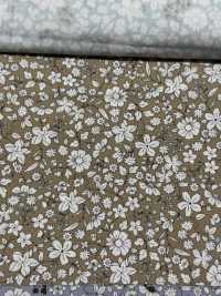 KTS6623 印花平紋布[布料] 更多照片