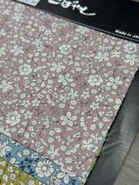 KTS6623 印花平紋布[布料] 更多照片