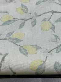 KTS6951 檸檬印花，枝條平紋布[布料] 更多照片