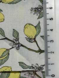 KTS6951 檸檬印花，枝條平紋布[布料] 更多照片