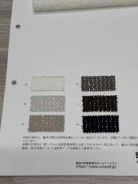 41692 魅力透明蕾絲[布料] SUNWELL三維爾 更多照片