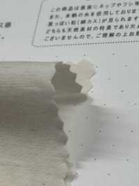 STL-9213 麻高密度平織[布料] 桑村紡織 更多照片