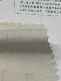STL-9213 麻高密度平織[布料] 桑村紡織 更多照片