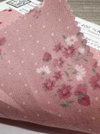 KCP400-DK703 40%純棉平紋布印花布[布料] 小紋工房(宇仁纖維) 更多照片