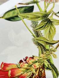 KDP7711-58-DD899 淺色羅緞寬幅噴墨列印[布料] 小紋工房(宇仁纖維) 更多照片