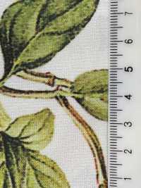 KDP7711-58-DD899 淺色羅緞寬幅噴墨列印[布料] 小紋工房(宇仁纖維) 更多照片