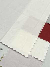 PSW7865 80/1 超高密度高密度平織棉染色素色紙[布料] 古山 更多照片