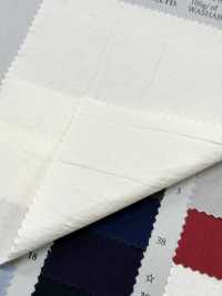 PSW7865 80/1 超高密度高密度平織棉染色素色紙[布料] 古山 更多照片