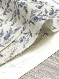 83073 雙層紗布未漂白棉懷舊系列/維羅妮卡[布料] VANCET 更多照片