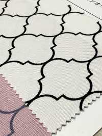 SP5500 摩洛哥牛津（圓形）[布料] Cosmo Textile 更多照片