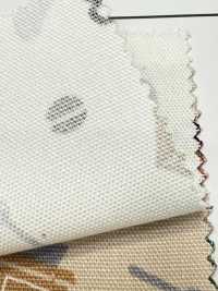 AP55110 下午茶牛津（圓卷）[布料] Cosmo Textile 更多照片