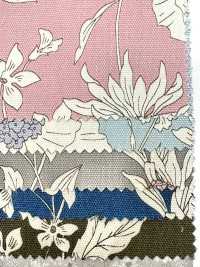 AP55808-DR 牛津《 Essential Grace 2》（對折）[布料] Cosmo Textile 更多照片