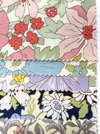 AP55808-DR 牛津《 Essential Grace 2》（對折）[布料] Cosmo Textile 更多照片