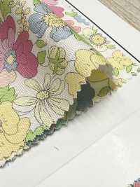 AP55808-DR 牛津《 Essential Grace 2》（對折）[布料] Cosmo Textile 更多照片