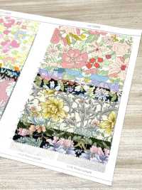 AP55808-DR 牛津《 Essential Grace 2》（對折）[布料] Cosmo Textile 更多照片