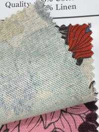 AP55803 C/L 花帆布（卷）[布料] Cosmo Textile 更多照片