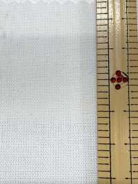 1200 20/1勞動布[布料] 桑村纖維 更多照片