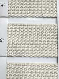 NO5502-3 皮帶帶邊[緞帶、帶、繩子] RIVER 更多照片