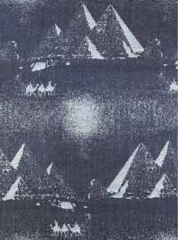 A-1728 丹寧布提花[布料] 有延商店 更多照片