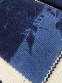 DCL4400-ID 21W Mijinkoruten Decolore[布料] 雲井美人（中部別珍） 更多照片