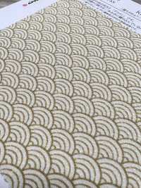 KKP3338-D-SEIKAIHA 二子絲縐青貝[布料] 小紋工房(宇仁纖維) 更多照片