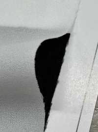 ECOXR-50 100%再生聚酯纖維處理襯裡[襯布] 更多照片