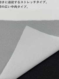 ECOXR-50 100%再生聚酯纖維處理襯裡[襯布] 更多照片