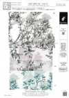 KKP5603-58-DHM-76 紡紗 精紡細布 寬幅