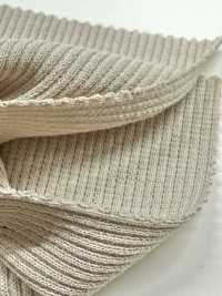 341 Re:Dry MVS 乾紡羅紋抽針針織[布料] VANCET 更多照片