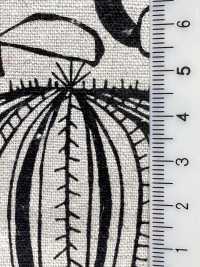 1026-1705-1 CL 帆布 Nordic[布料] HOKKOH北高 更多照片