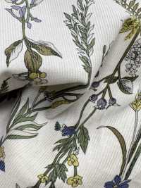 3026-1770-1 21W燈芯絨[布料] HOKKOH北高 更多照片