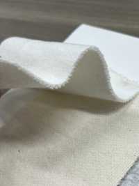 W-48377 Vintage Champion 毛圈布 II[布料] Minami 更多照片