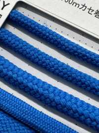 2AY 柔性 4.2 毫米[緞帶、帶、繩子] Cordon 更多照片